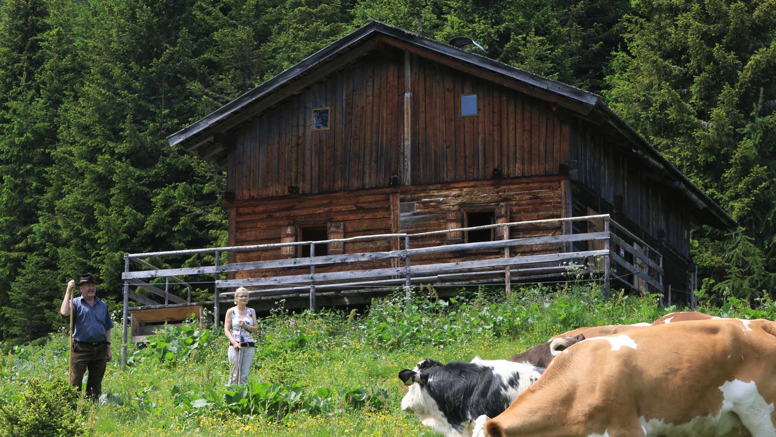 Die Unterwöger Alm am Karnischen Kamm